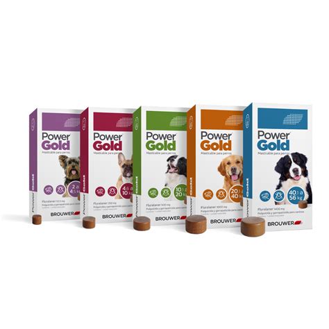 The Power Of Penn Gold