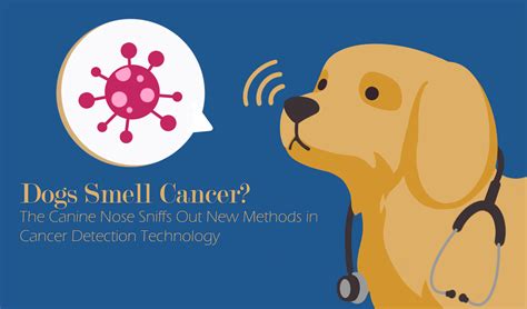 The Science Behind Dogs Sniffing Out Cancer A Z Animals