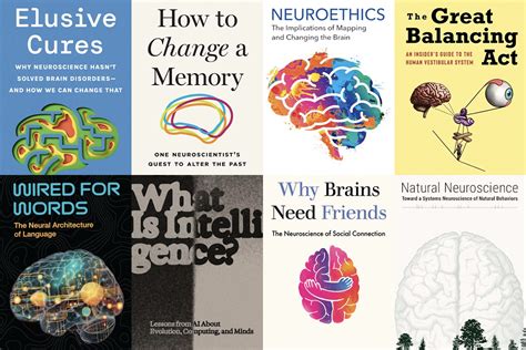 The Transmitter Neuroscience News And Perspectives The Transmitter Neuroscience News And Perspectives