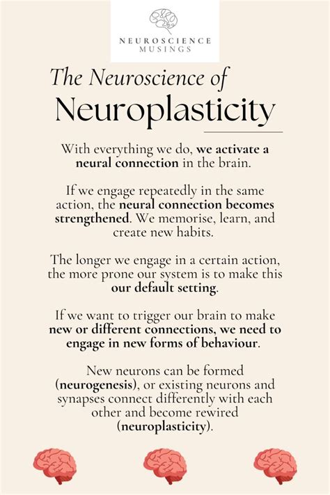 Thinking About Neuroplasticity Thinking About Neuroplasticity