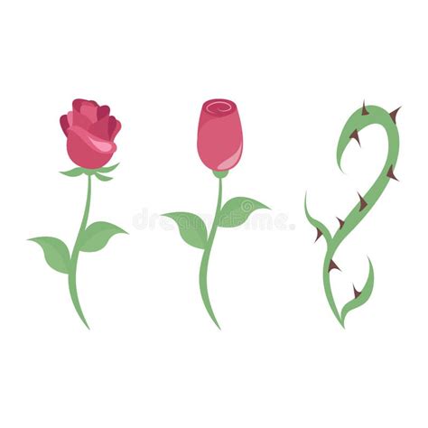 Thorn Rose Tattoo Stock Illustrations 872 Thorn Rose Tattoo Stock Illustrations Vectors Clipart Dreamstime