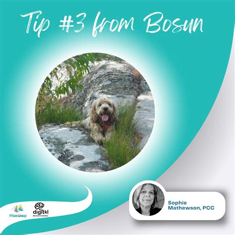 Tip 3 From Bosun Dance Around And Wag Your Entire Body Sophie Mathewson Pcc Posted On The Tip 3 From Bosun Dance Around And Wag Your Entire Body Sophie Mathewson Pcc Posted On The