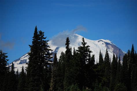 Tip Top Photograph By Hailey Bates Fine Art America