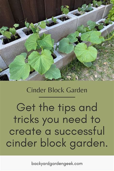 Tips And Tricks For Growing A Successful Cinder Block Garden Cinder Block Garden Cinder Block