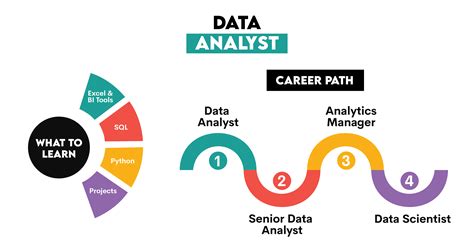 Top 5 Career Paths In Data Science And How To Self Learn For Each Kdnuggets