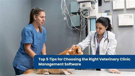 Top 5 Tips For Choosing Veterinary Clinic Management Software