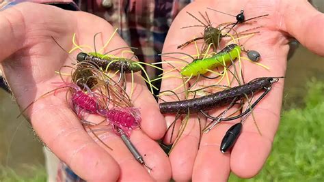 Top 5 Ways To Rig Fuzzy Baits Wired2fish
