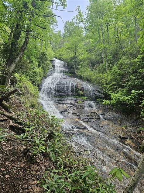 Top Or Best Tattoo Design Agencies And Companies In Conway Arkansas Dolfincontentshop Top Or Best Tattoo Design Agencies And Companies In Conway Arkansas Dolfincontentshop