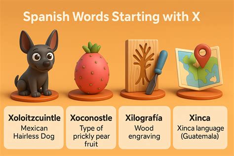 Top Spanish Words That Start With X For Language Learners Top Spanish Words That Start With X For Language Learners