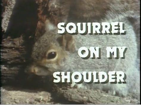 Twelve Things About Squirrels That Will Blow Your Mind
