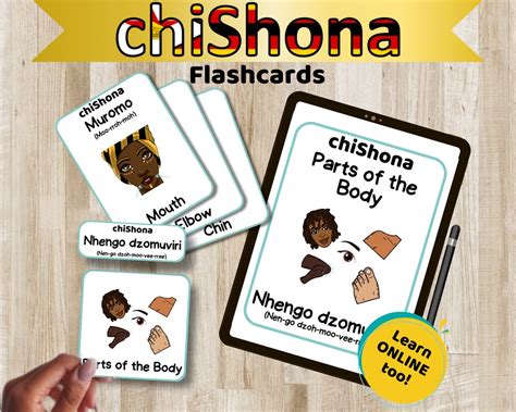 Twi Parts Of The Body Flashcards African Language Learning Digital Download Etsy Twi Parts Of The Body Flashcards African Language Learning Digital Download Etsy