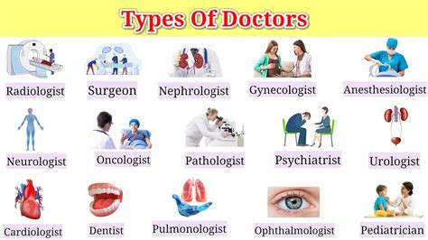Types Of Doctors And What They Do Types Of Doctors And What They Do