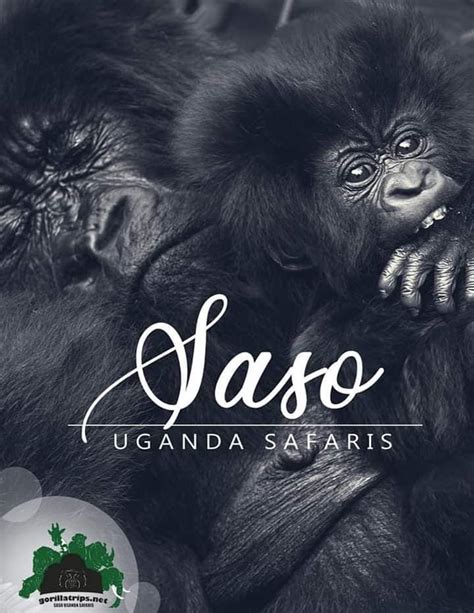 Uganda Language Saso Gorilla Safaris Uganda