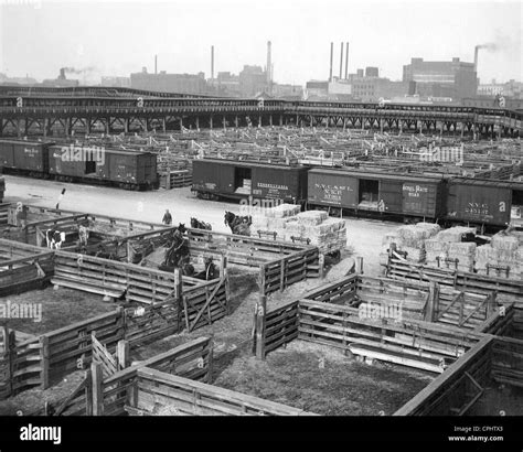 Union Stockyards In Chicago 1927 Stock Photo Alamy Union Stockyards In Chicago 1927 Stock Photo Alamy