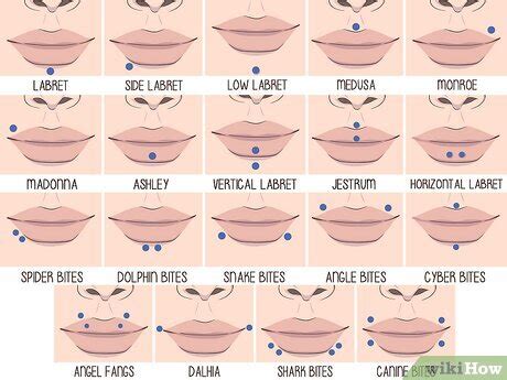 Vertical Top Lip Piercing Name Upper Lip Labret Types Under Top Lip Piercing Piercing Types