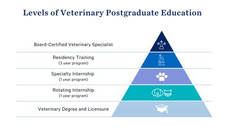 Veterinarian Education Requirements