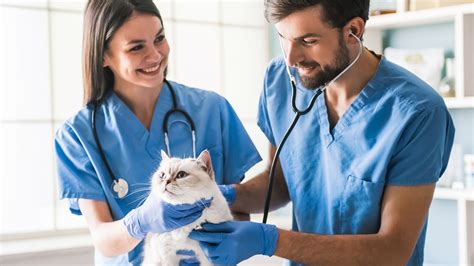 5 Veterinary Tips