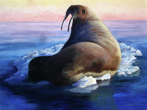Walrus Painting By Petra Stephens Fine Art America