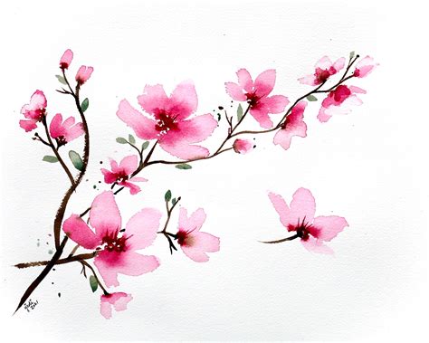 Watercolour Cherry Blossom Design 2 Lch