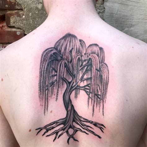 Weeping Willow Tattoo Ideas Capturing The Beauty Of Nature Weeping Willow Tattoo Ideas Capturing The Beauty Of Nature