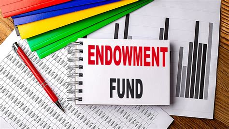 What Are Endowment Funds And Can You Invest In Them