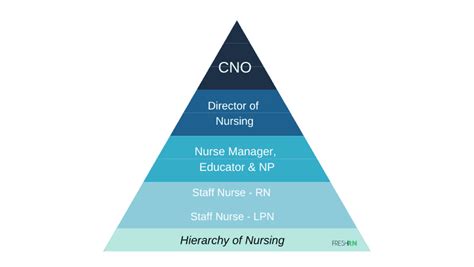 What Are The Levels Of Nursing Nurse Ranks Hierarchy Nurse Org
