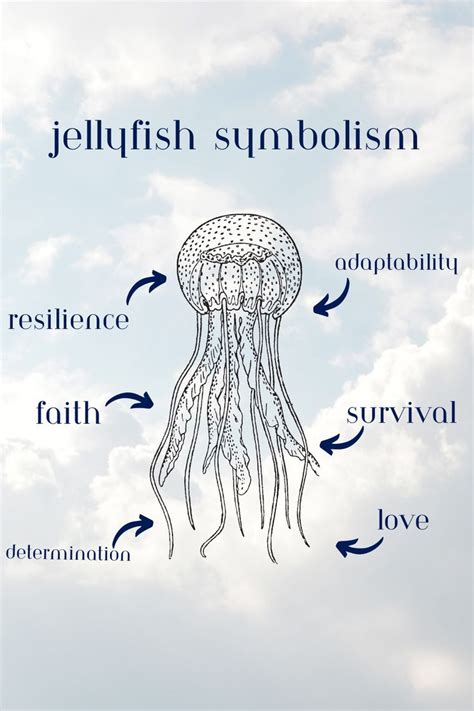5 Ways Jellyfish Represent