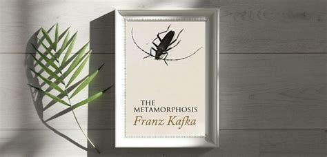 What I Learned From The Metamorphosis For Book Lovers And Random People What I Learned From The Metamorphosis For Book Lovers And Random People