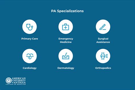 What Is A Pa Responsibilities Salary And Career Path American University Of Antigua What Is A Pa Responsibilities Salary And Career Path American University Of Antigua