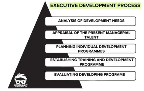 What Is Executive Development Definition Objectives Importance Methods Process Factors What Is Executive Development Definition Objectives Importance Methods Process Factors