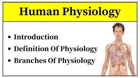 What Is Physiology In Urdu Introduction To Human Physiology In Hindi Branches Of Physiology