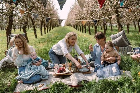 Where Does The Word Picnic Come From History Of Picnics