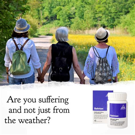 Where To Get Salvian Sage Leaf Capsules In Nairobi Kenya Kalonji Online Shop Where To Get Salvian Sage Leaf Capsules In Nairobi Kenya Kalonji Online Shop