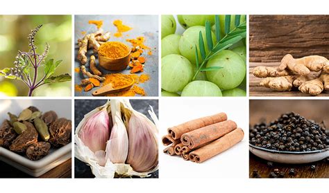 While We Await Coronavirus Cure Fortify Your Immunity With These Natural Remedies Teri While We Await Coronavirus Cure Fortify Your Immunity With These Natural Remedies Teri